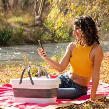 Folding Picnic Basket with Lid-Table Pickning InnovaGoods 2