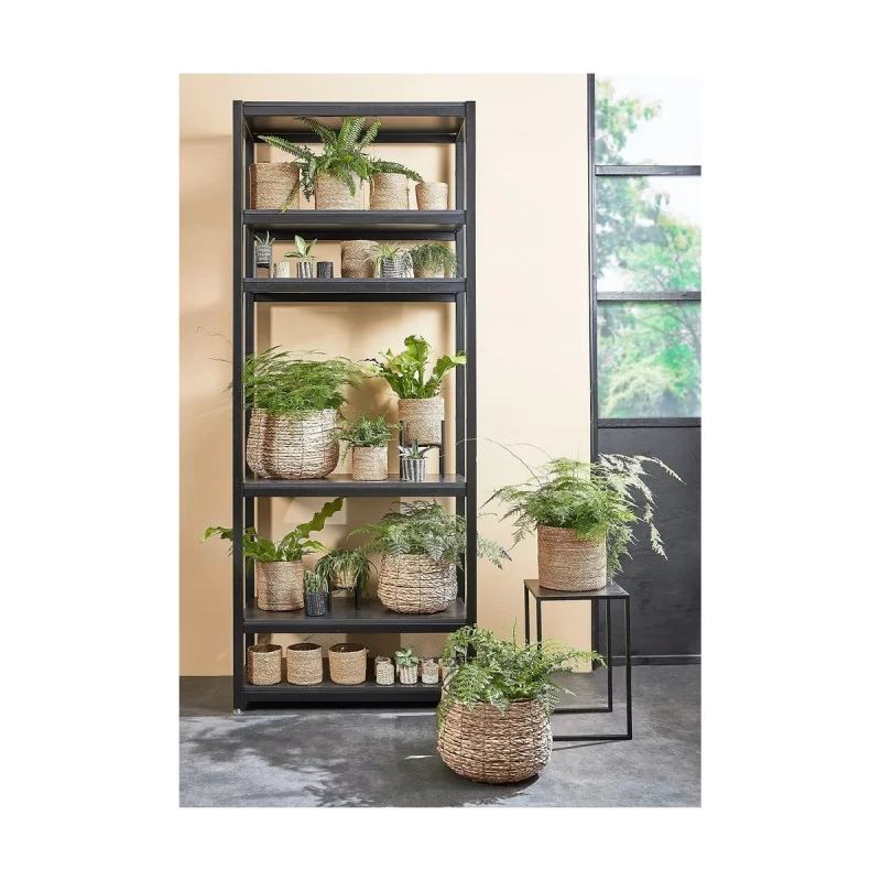 Set of Baskets Mica Decorations 3 Pieces Brown...