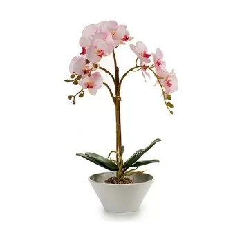 Decorative Plant Orchid Plastic 20 x 60 x 28 cm (2 Units) 2