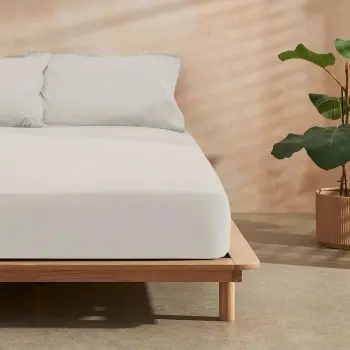 Fitted bottom sheet Belum Liso Beige 140 x 200 cm Smooth 2