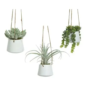 Decorative Plant 800073 Succulent 20 cm For hanging...