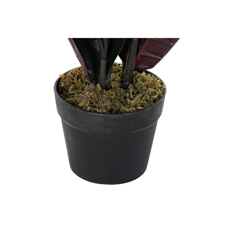Decorative Plant DKD Home Decor Green PE (40 x...