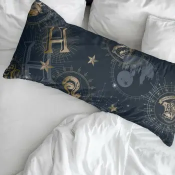 Pillowcase Harry Potter 45 x 125 cm 2