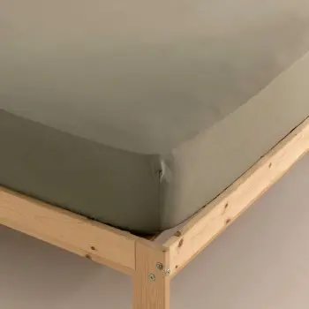 Fitted bottom sheet Terracota Green 160 x 200 cm