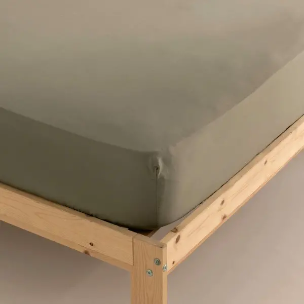 Fitted bottom sheet Terracota Green 180 x 200 cm