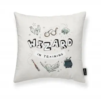 Cushion cover Harry Potter Wizard Light grey 45 x 45 cm