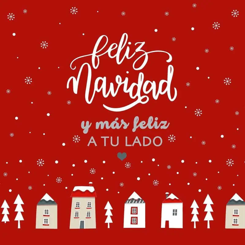 Cushion cover Muaré Laponia 50 x 50 cm