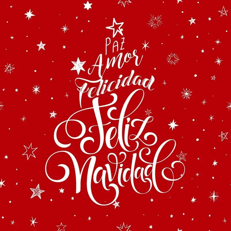 Cushion cover Muaré Laponia 50 x 50 cm