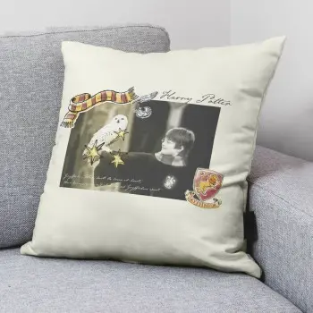 Cushion cover Harry Potter Little Memories 50 x 50 cm 2
