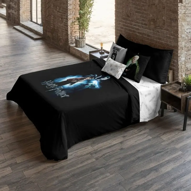 Nordic cover Harry Potter Harry Potter VS...