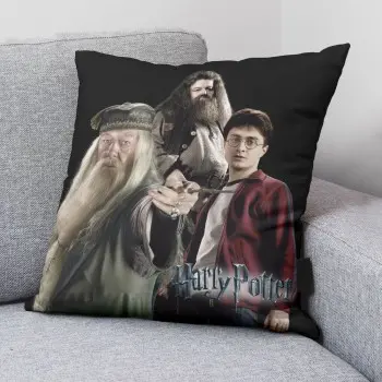 Cushion cover Harry Potter Team 50 x 50 cm 2