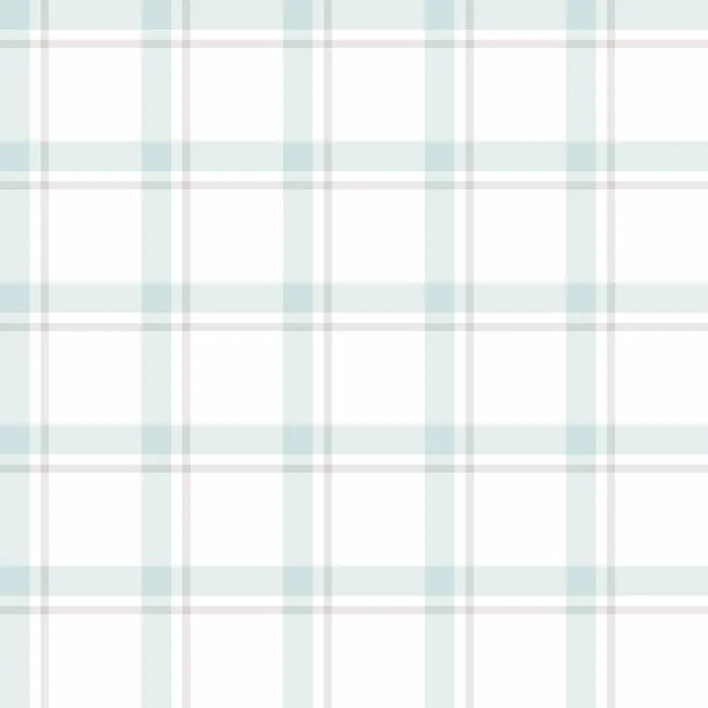 Stain-proof tablecloth Belum 200 x 140 cm Squares