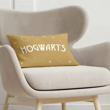 Cushion cover Harry Potter 30 x 50 cm 2