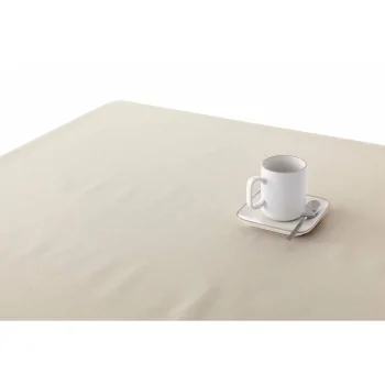 Stain-proof tablecloth Belum Liso 250 x 140 cm 2