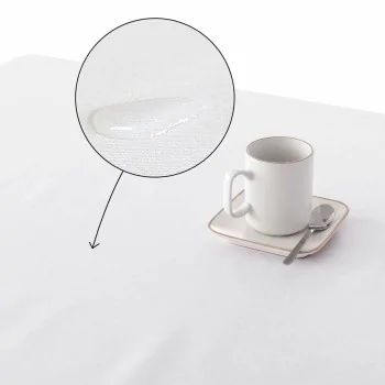Stain-proof tablecloth Belum Cuadros 50-12 250 x 140 cm 2
